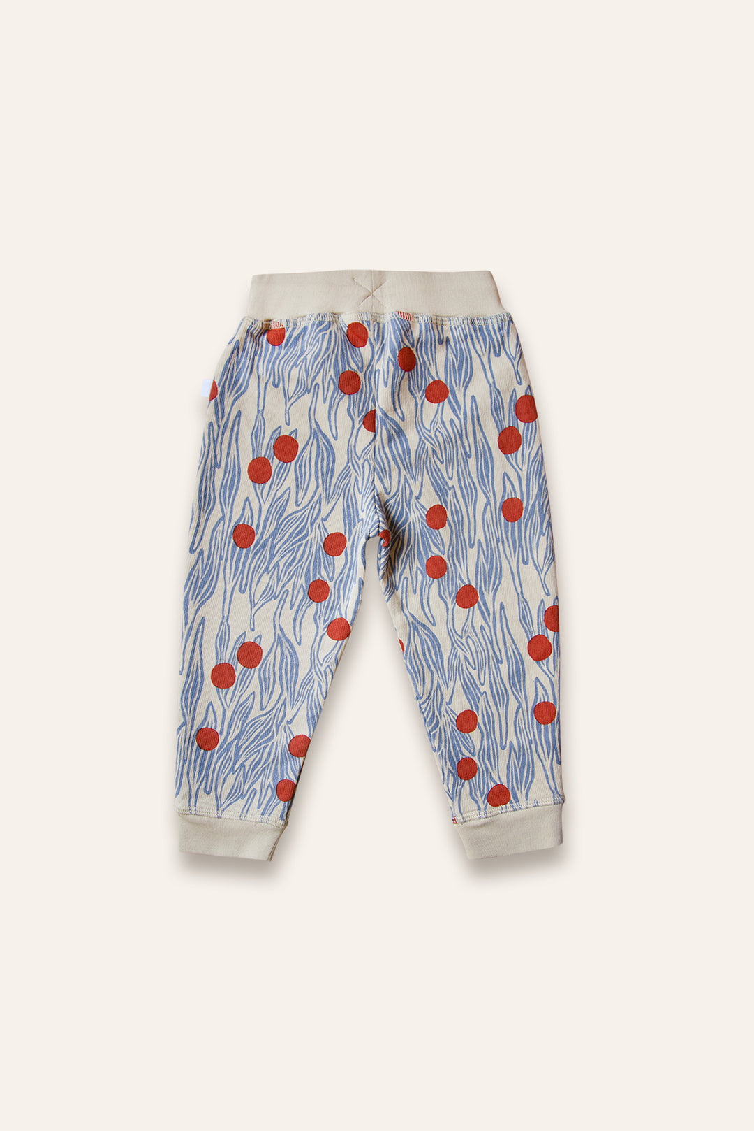 Pantalon de survêtement bio WINTER BERRIES